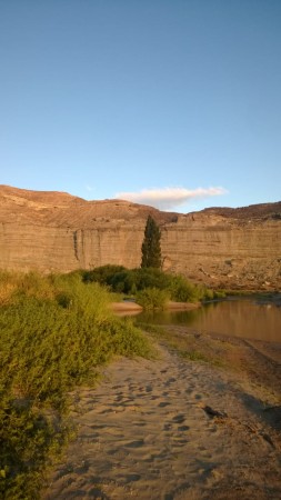 CAMPO en LOS ALTARES con VIÑEDO FUNCIONANDO