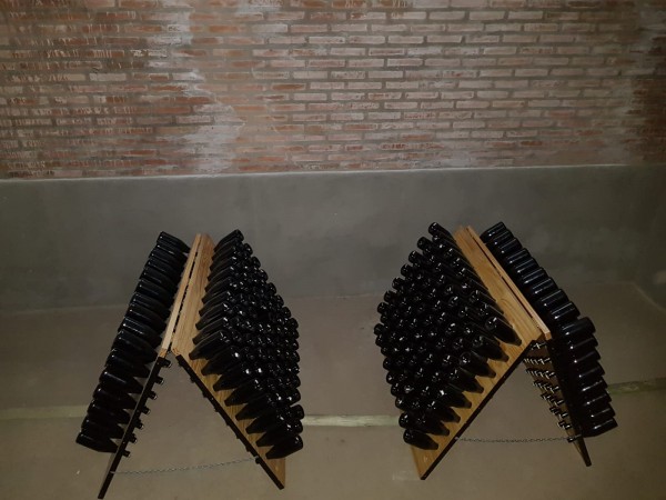 CAMPO en LOS ALTARES con VIÑEDO FUNCIONANDO