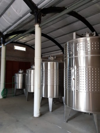 CAMPO en LOS ALTARES con VIÑEDO FUNCIONANDO