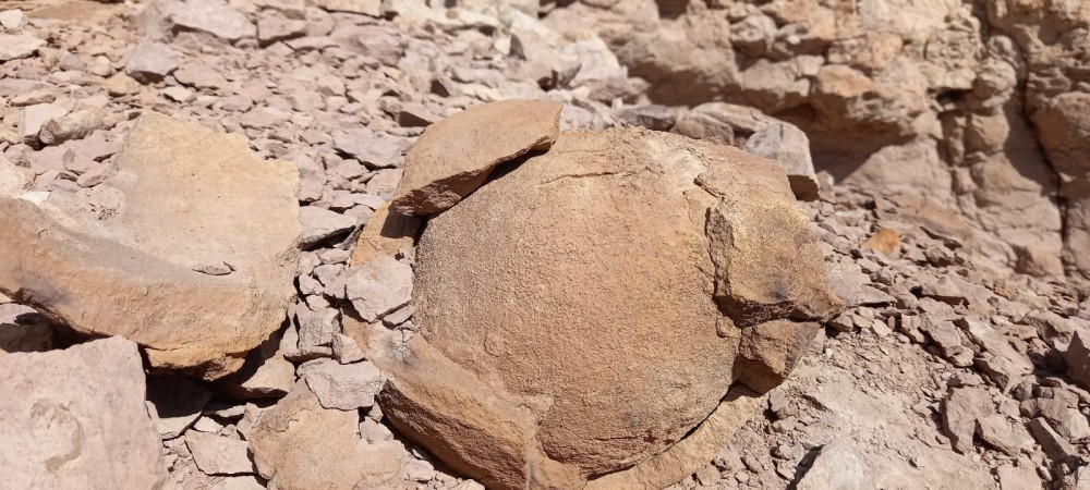 CAMPO en LOS ALTARES con VIÑEDO FUNCIONANDO
