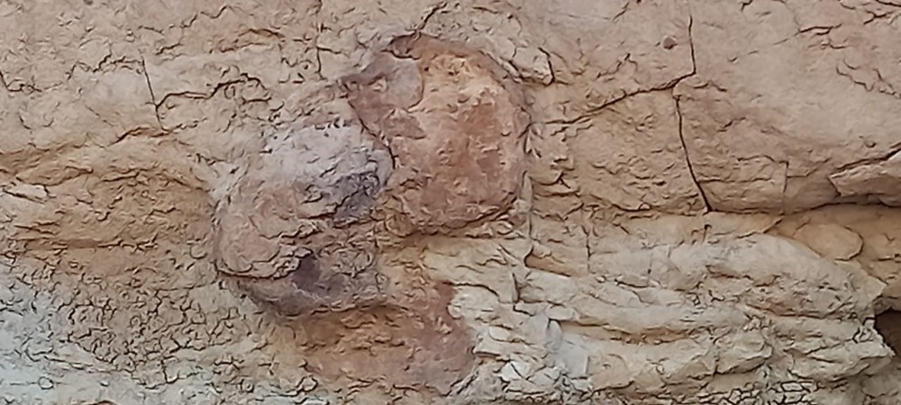 CAMPO en LOS ALTARES con VIÑEDO FUNCIONANDO