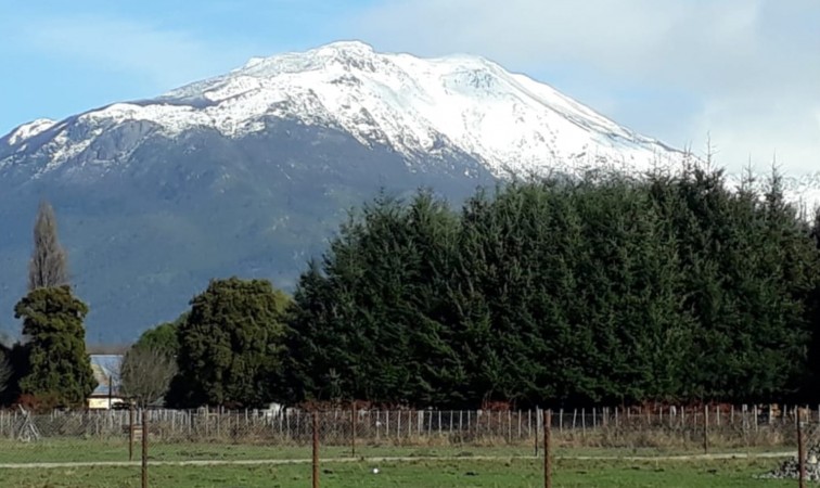 TERRENOS EN VENTA EN LAGO PUELO