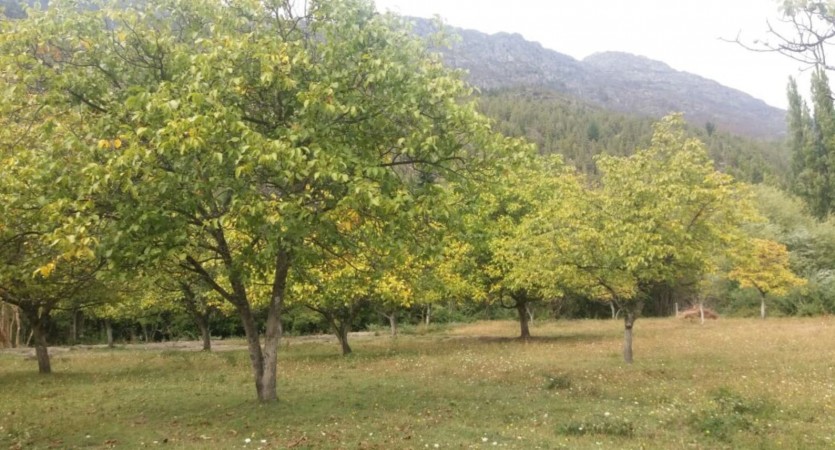 TERRENOS EN VENTA EN LAGO PUELO