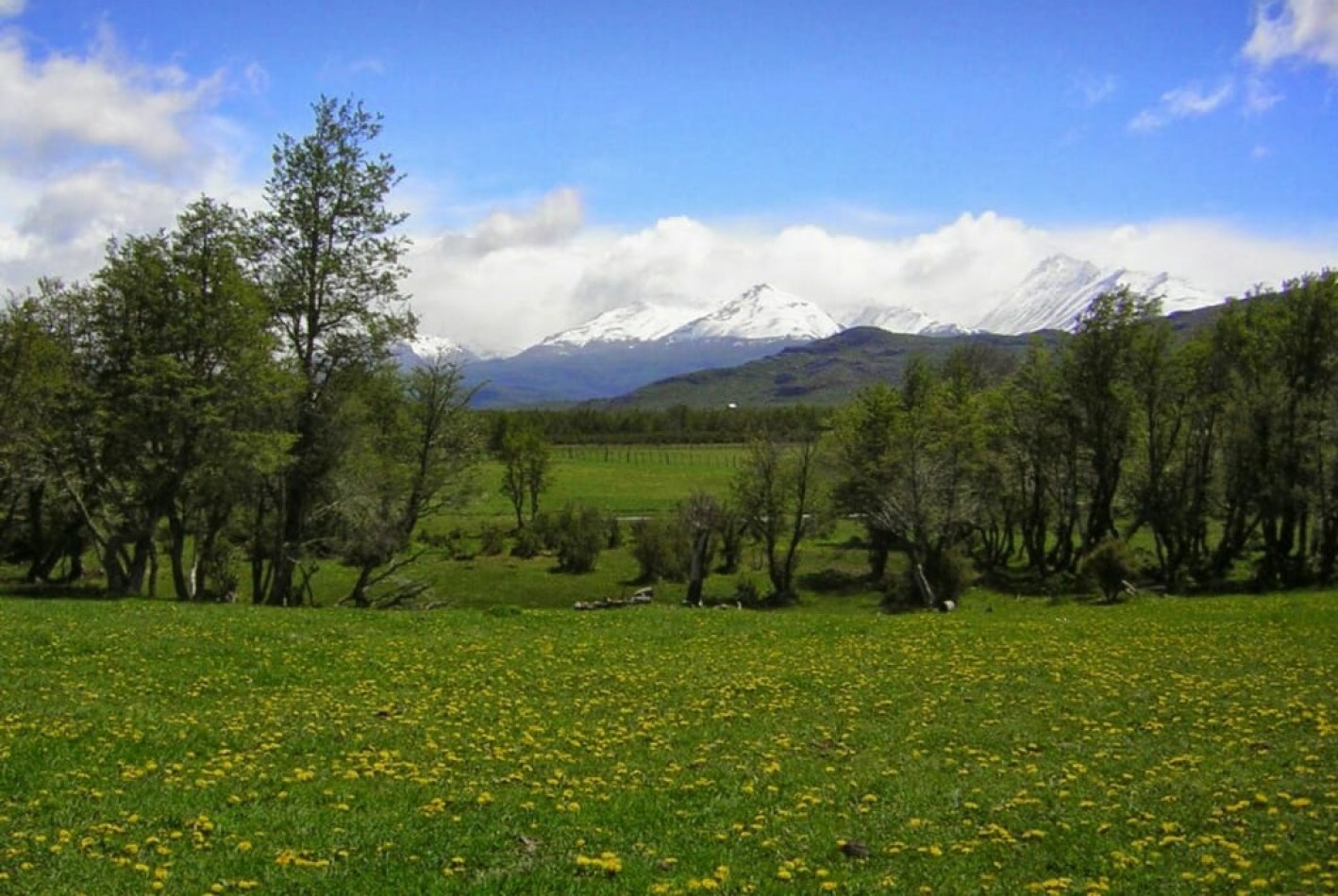 ESPECTACULAR CHACRA 2,8HAS EN EL CORAZON DE LA PATAGONIA 