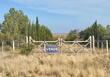OPORTUNIDAD - Excelente terreno de 2 ha