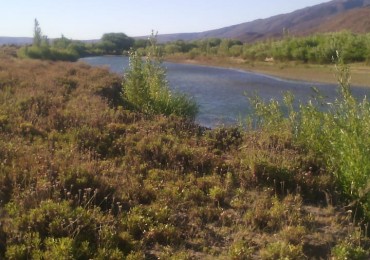 Hectárea frente al río