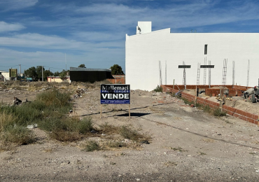 TERRENO 317 M² CON SERVICIOS